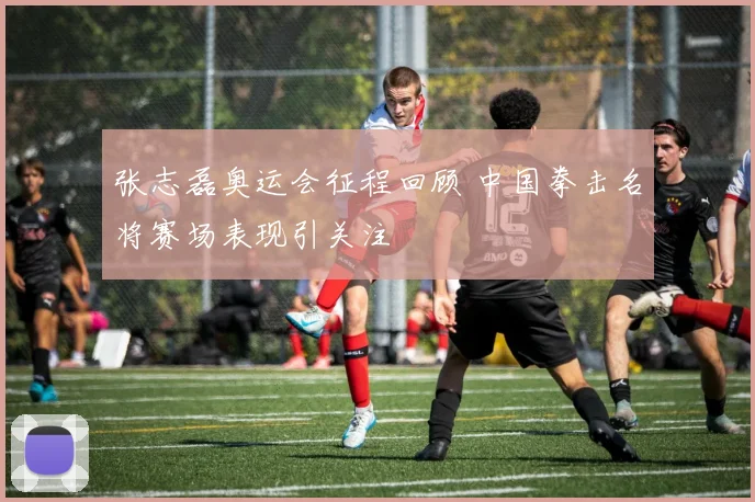 张志磊奥运会征程回顾 中国拳击名将赛场表现引关注